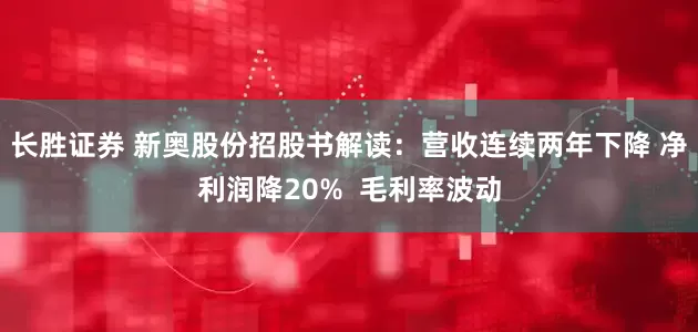 长胜证券 新奥股份招股书解读：营收连续两年下降 净利润降20%  毛利率波动