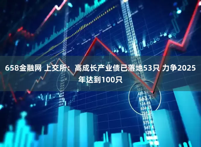 658金融网 上交所：高成长产业债已落地53只 力争2025年达到100只