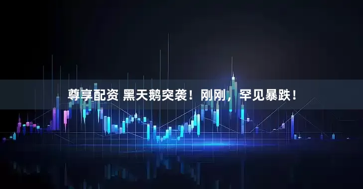 尊享配资 黑天鹅突袭！刚刚，罕见暴跌！