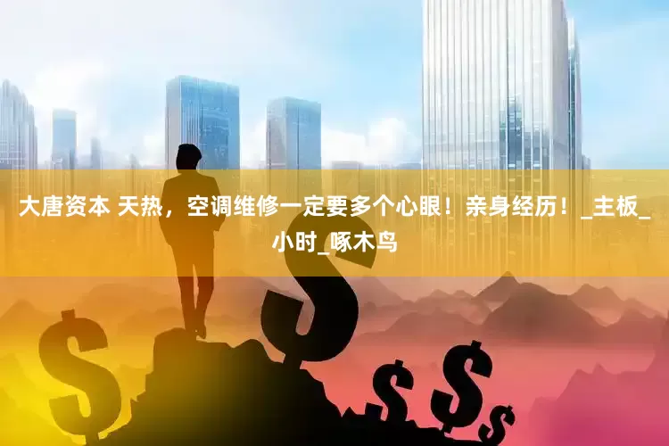 大唐资本 天热，空调维修一定要多个心眼！亲身经历！_主板_小时_啄木鸟