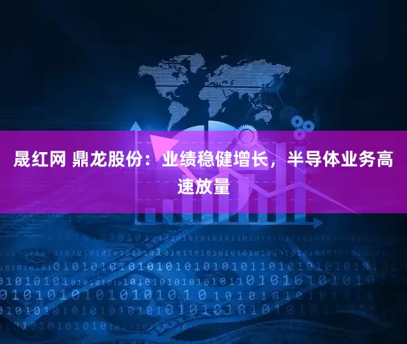 晟红网 鼎龙股份：业绩稳健增长，半导体业务高速放量