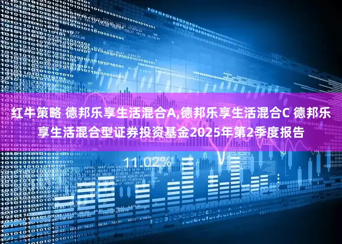 红牛策略 德邦乐享生活混合A,德邦乐享生活混合C 德邦乐享生活混合型证券投资基金2025年第2季度报告